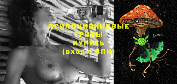 ГАЛЛЮЦИНОГЕННЫЕ ГРИБЫ Верхнеуральск
