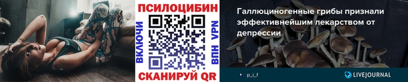 MEGA ТОР  Хасавюрт  Галлюциногенные грибы мицелий 