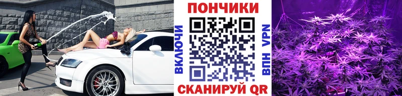Каннабис семена Хасавюрт